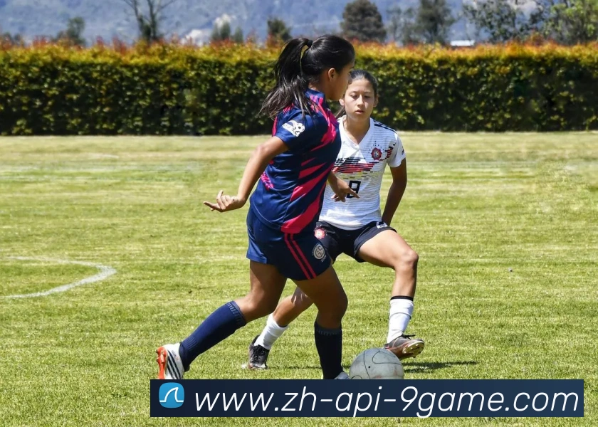 J9九游APP 封面图